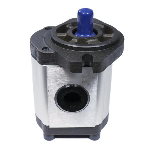 Chief Gear Pump 9-Tooth Spline Shaft, 1.52 Cid, 12.2 Gpm at 2000 Rpm, 2900 PSI 252213